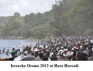 Irreecha Oromo 2013 at Hora Harsadi