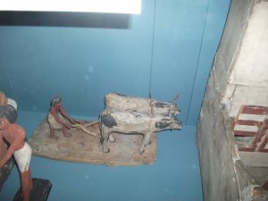 Farming in ancient kemetic (Ancient Egypt)