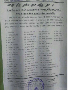 land grabbers in Gambella