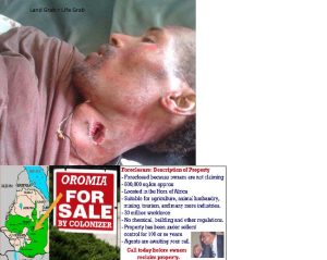 Land grab inOromia