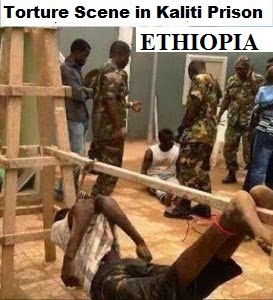 b9267-kalitti-273x300