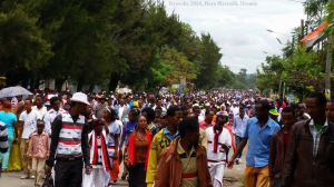 Celebration of Irreecha Oromoo 2014 (6408 according to Oromo Calendar). 5th October 2014 @ Horaa Harsadii, Bishoftu, Oromia. Suura2