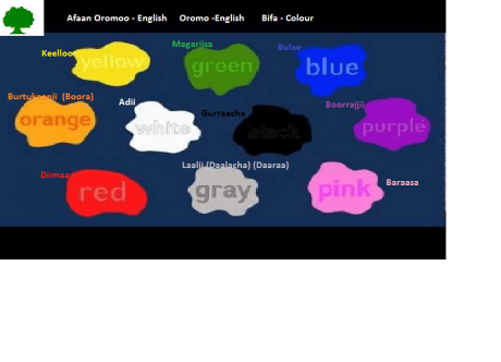 AfaanOromoEnglishBifa