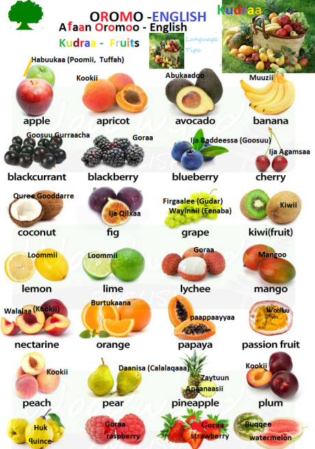 Fruits