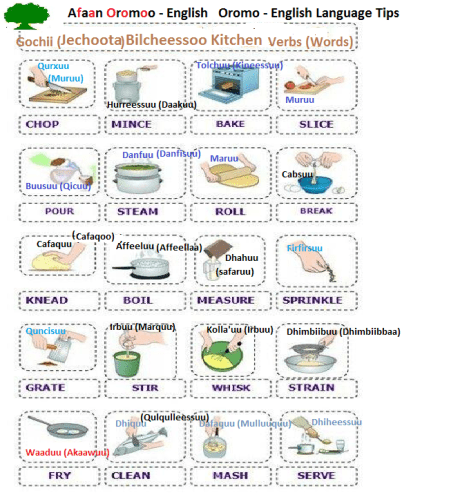 Kitchen verbs