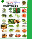vegetables