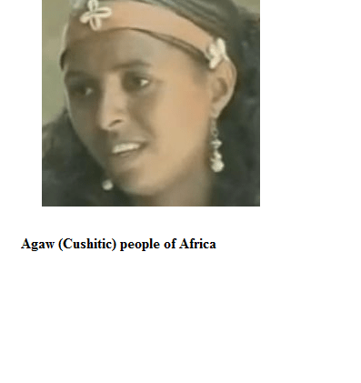 Agaw