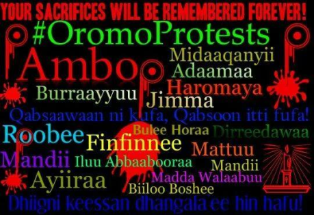 Ambo your sacrifices will be remembered for ever
