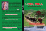 hora obaa