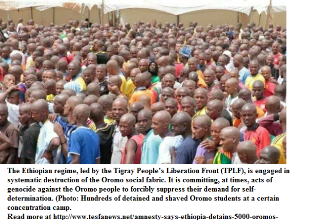 Thousand Oromos detained in 2014 protests