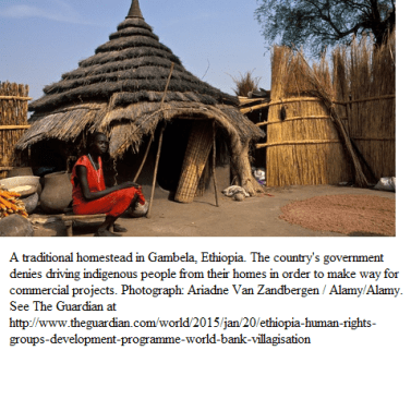 Traditional homestead in Gambela