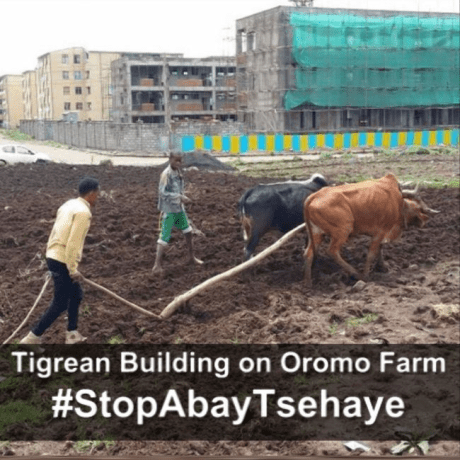 Tigrean Neftengna's land grabbing3 and the Addis Ababa Master plan for Oormo genocide