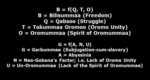 Bilisummaa (Freedom Function)