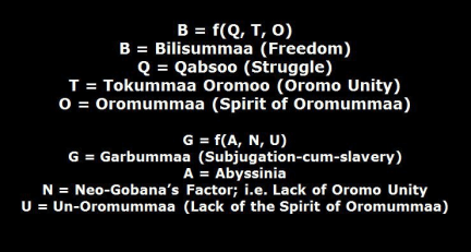 Bilisummaa (Freedom Function)