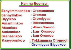 Kan na boonsu Oromummaa