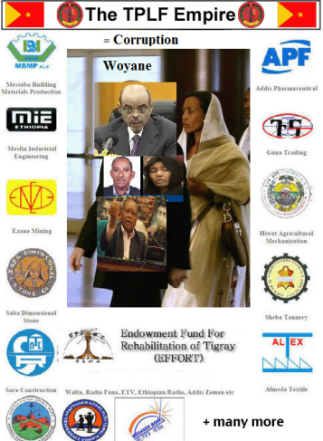 The TPLF Corruption network