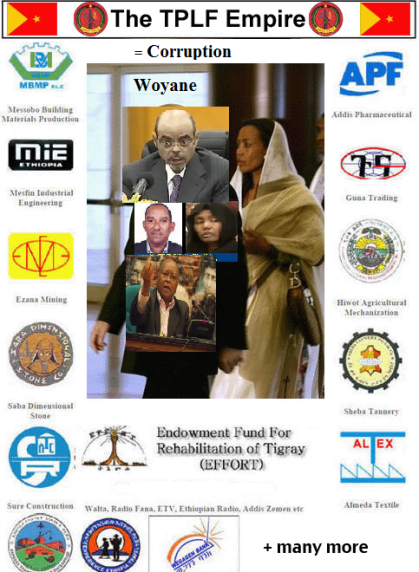 The TPLF Corruption network