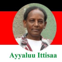 Aaddee Ayyaluu Itisaa