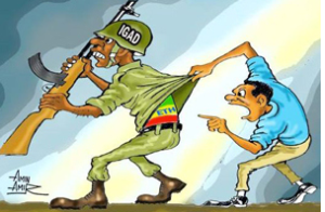IGAD and TPLF