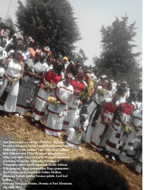 Irreecha Arfaasaa Celebrate at Furii (Oromia), 5th April 2015
