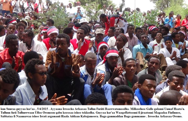 Irreecha Arfaasaa Oromoo, Tulluu Furii. 5th April 2015, Oromia.