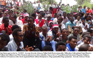Irreecha Arfaasaa Oromoo, Tulluu Furii. 5th April 2015, Oromia.