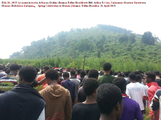 Spring celebration in Oromia, Jimmaa, Tulluu Deeddee. 26 April 2015. Irreecha Arfaasaa.