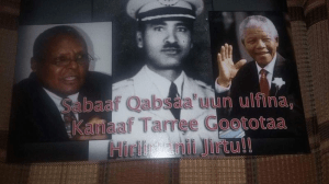 OFC at East Harargee, Oromia1