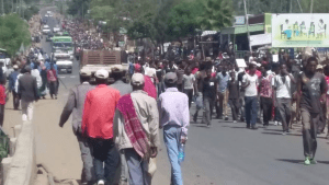 OFC at East Harargee, Oromia5