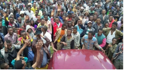 OFC at West Arsi, Oromia1