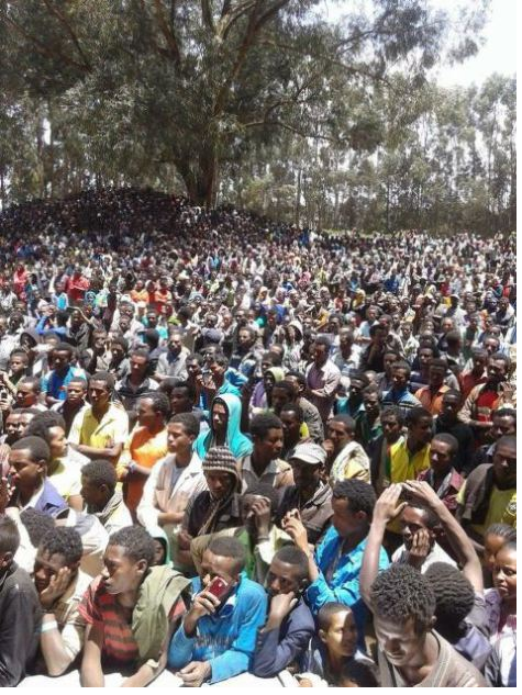 OFC criss crossing Oromia 1