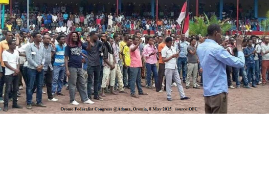 OFC criss crossing Oromia , Adama 8 May 2015
