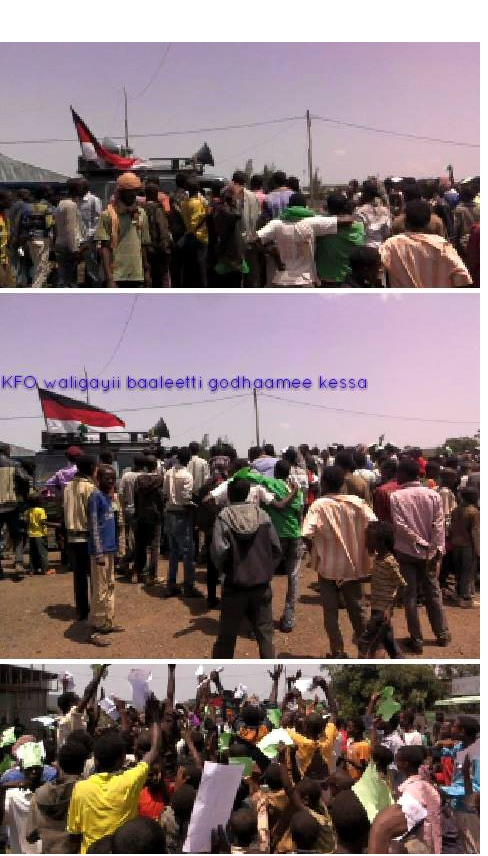 OFC Medrek’s Last Campaign Stops – Bale, Southern Oromia