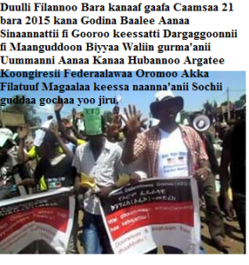 OFC Medrek’s Last Campaign Stops – Bale, Southern Oromia3