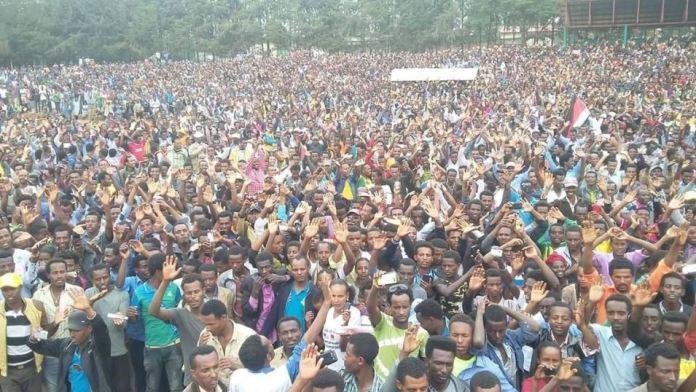 OFC Medrek’s Last Campaign Stops – Xuquur Incinii (Diree Badhaas) and Holataa in Central Oromia1