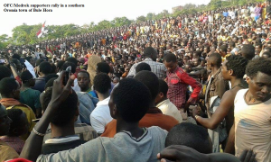 Oromo Federalist  Congress rally in a Southern Oromia town of Bule Hora