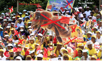 TPLF's sham elections