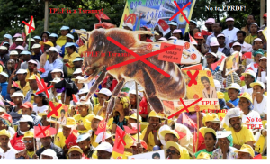 TPLF's sham elections