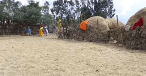 Hacaaluu Hundessa, Oromo culture music video maalan jira picture2