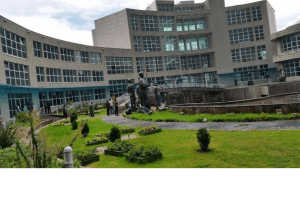 Oromo film (drama) Priemere, Dambalii opened at Waltajjii Oromoo (Oromo National Centre), Finfinnee)