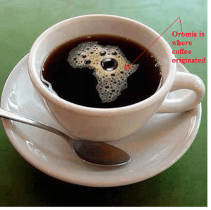 Coffee (Buna) originated from Oromia1