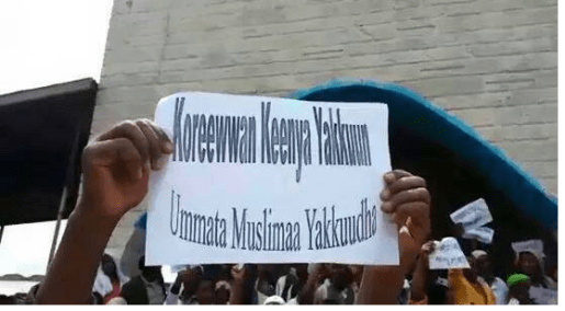 Ethiopian Muslims staged protest across the country1, 10 July 2015