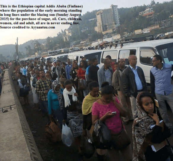 This is the Ethiopian capital Addis Ababa (Finfinne) where the population of the early morning standing in long lines under the blazing sun (Sunday August 2015) for the purchase of sugar, oil and other basic goods