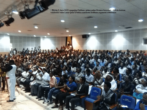 Hagayya 5, bara 2015, magaalaa Finfinne, galma aadaa Oromoo keessatti – CD-iin kuusaa walaloolee waloo Lataa Qana’ii bakka uummatni hedduun argametti eebbifamee
