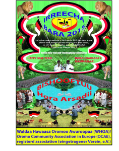 Tumsa ykn Yaadannoo Irreecha (Irreessa) Bara 2015 Cinaa (Bukkee) Hora Arsadiitti Geggeessamu1