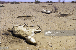Famine in Ethiopia 2015