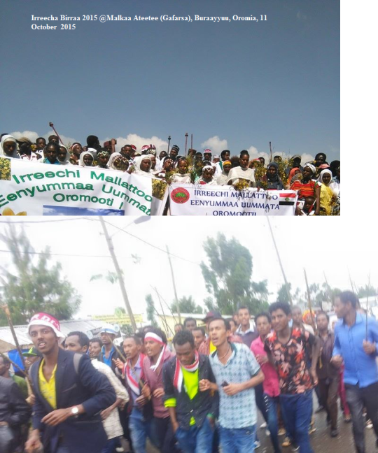 Irreecha Birraa 2015 @Malkaa Ateetee, Buraayyuu, Oromia, 11 October 2015 picture1