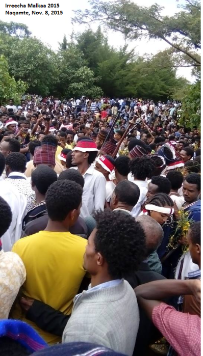Irreecha Birraa (Malkaa) Oromoo kan bara 2015, Haroo Adiiyaa, magaalaa Naqamtee sadaasa 8, 2015 picture3