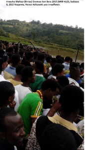 Irreecha Birraa (Malkaa) Oromoo kan bara 2015, Haroo Adiiyaa, magaalaa Naqamtee sadaasa 8, 2015 picture4