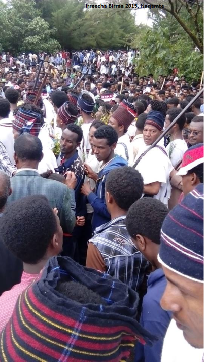 Irreecha Birraa (Malkaa) Oromoo kan bara 2015, Haroo Adiiyaa, magaalaa Naqamtee sadaasa 8, 2015 picture6